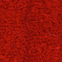 Cocco Rosso 17 mm - H200 cm a taglio