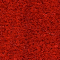 Cocco Rosso 17 mm - H100 cm - vendita a taglio