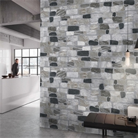 Wall Grey 20x60 cm
